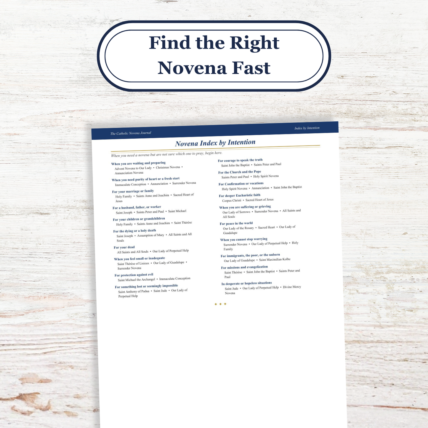 Catholic Novena Journal, Liturgical Year Prayers, 27 Novenas, Guided Tracker (PDF Download) - Ludus Catholic Games