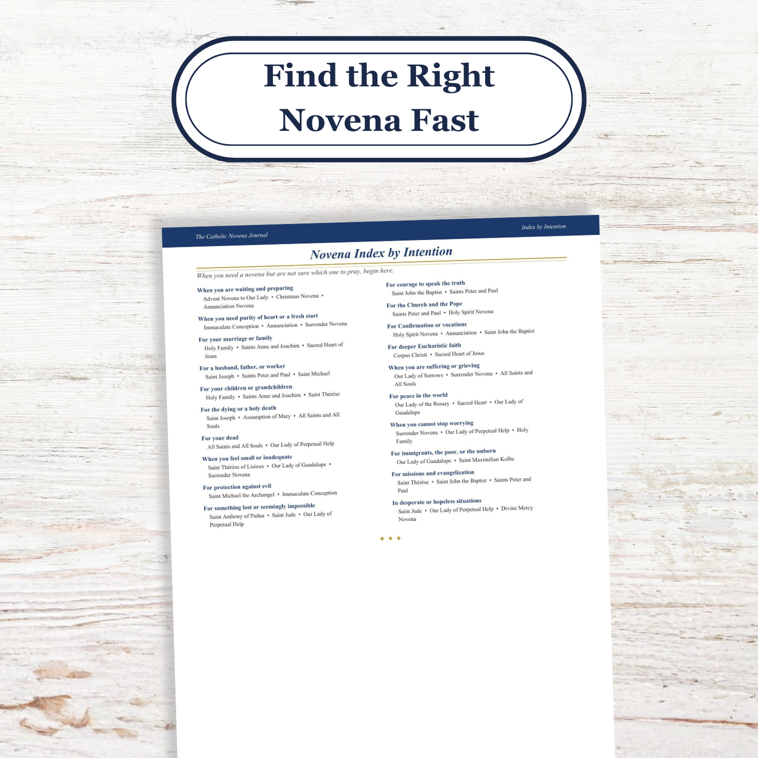Catholic Novena Journal, Liturgical Year Prayers, 27 Novenas, Guided Tracker (PDF Download) - Ludus Catholic Games
