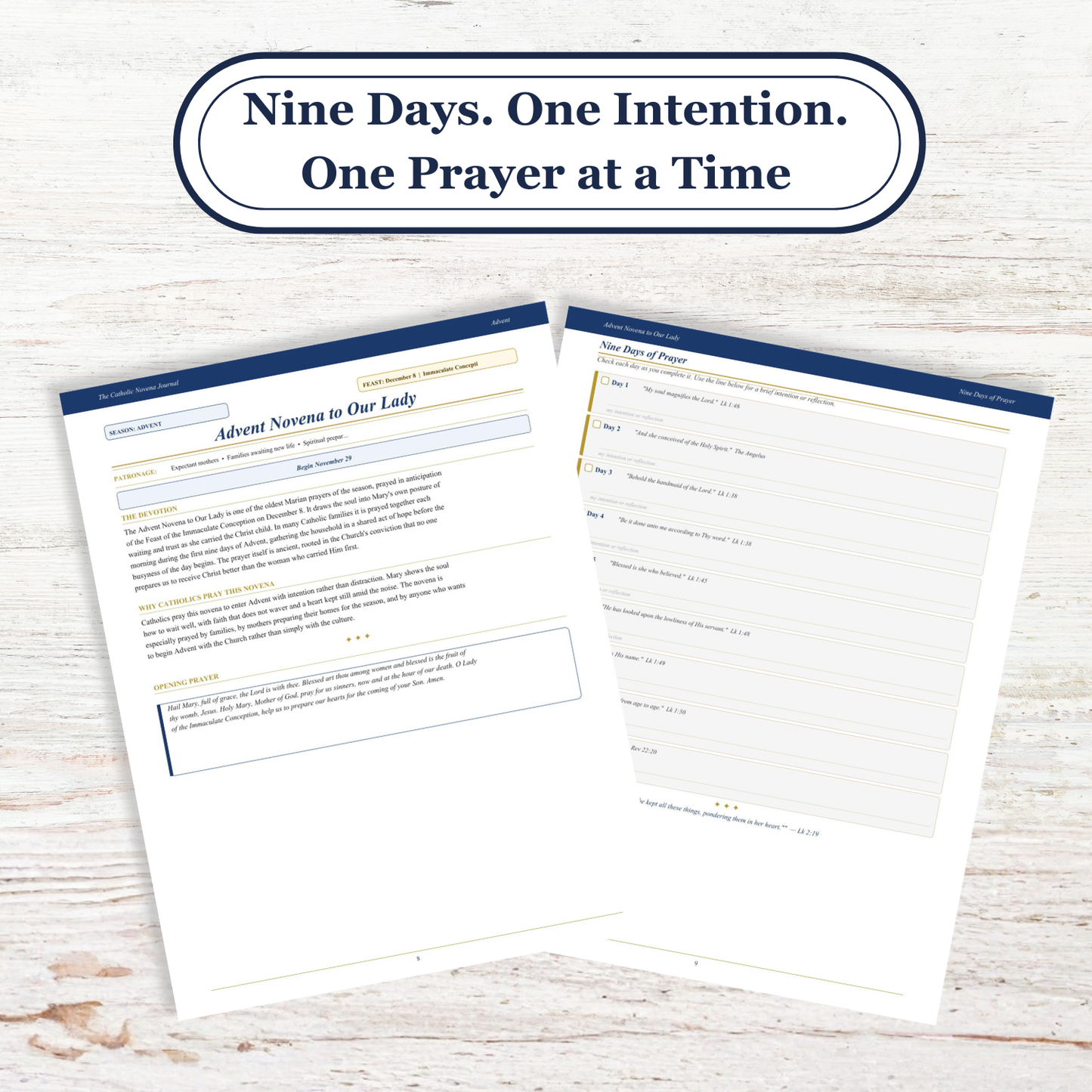 Catholic Novena Journal, Liturgical Year Prayers, 27 Novenas, Guided Tracker (PDF Download) - Ludus Catholic Games